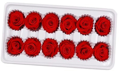 MAGICLULU 1 Scatola Fiori Conservati Per San Rose Artificiali Con Gambo Mazzolino Eterno Rosa Decorazione Del Matrimonio Rose Vere Stabilizzate Fiore Conservato Rosso