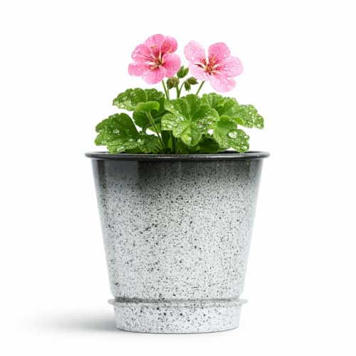 The Happy Garden Galvanised Printed Pot – 5 CAR-DOVA White Antique Planter with Bottom Plate, Gradient Black to Silver Finish, Indoor Outdoor Decorative Pot for Plants, Herbs & Flowers