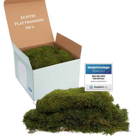 Plattenmoos lang konserviert naturgrün | Deko Wand Moos Platten haltbar | DIY Moosbild selber Machen | 300g Naturgrüne Natur Moosmatte lebend in Grün