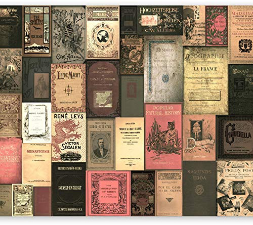 murando Fototapete selbstklebend 343x256cm Foto Tapete Tapetenfolie Möbelfolie Wandverkleidung Wandtapete Motivtapeten Bildtapete Wohnzimmer Schlafzimmer 3d Effekt Vintage Retro Buch m-C-0242-a-b