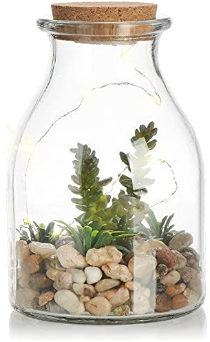 com-four® Planta Artificial en Vidrio con iluminación LED, Elegante iluminación Ambiental, lámpara Ambiental con Flores Artificiales, Piedras y 10 lámparas LED (1 Pieza - Crassula)