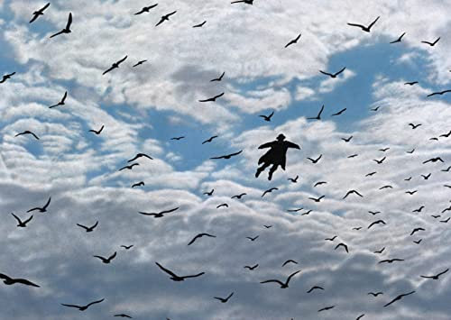 Inkognito Postkarte | Anlass: ''Kunst'', Motiv: Fliegen ''Der Flug – Reprise'' | Künstler: Quint Buchholz | Art-Nr.: 8073 | vom Berliner Verlag