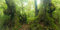 MIRRORANG 180x61cm Terrarium Hintergrund Tropischer Regenwald Reptilien Lebensraum Hintergrund Grün Riesiger Baum Sonnenschein Wald Aquarium Hintergrund Haltbarer Vinyl Hintergrund