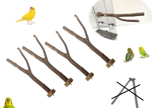 Ollesch 4 Sitzstangen Sitzzweige aus Naturholz | Haselnussholz | IDEAL ZUR NATÜRLICHEN Ausstattung IM VOGELKÄFIG | Unbehandeltes Holz | Anknabbern unbedenklich