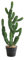Hapihom 80 cm - Plante artificielle de cactus - Faux aloe juteux - Cactus artificiel - Décoration d'intérieur et d'extérieur - 80 cm