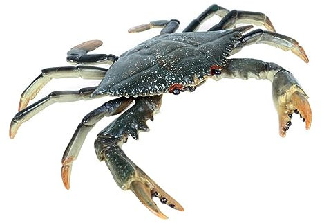 Yardwe 1 Pc Portunid Solide Réservoir Crabe Océan Cage Décor Simulation Vide Coquilles Poisson Boîte Sable Artisanat D'aquarium Modèle d'animal Marin Figurine d'animal Marin Vif Plastique