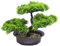 Bonsai Baum Künstlich, Simulierte Grünpflanze Bonsai Ornament, Topfpflanze Pflanze Künstlicher, Den Innenbereich Realistische Grünpflanze für Balkon, Garten, Büro Ornamente (26 * 20cm,E)