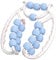 Rouleau Massage，Rouleau de jambe, rouleaux de massage à 20 roues pour les jambes, rouleau de cellulite en plastique, rouleau de masseur de cellulite non glissant pour cuisse (bleu)