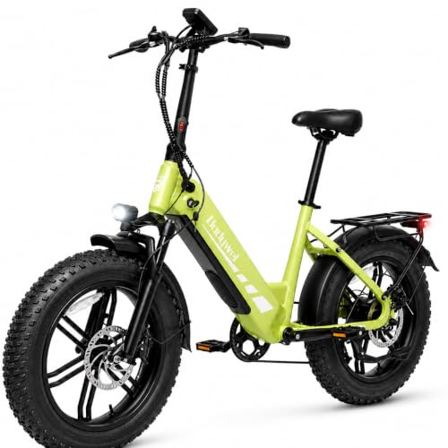 Bodywel F20pro Elektrofahrrad Herren Damen, 20 Zoll E-Bike Mountainbike E Fatbike, 48V 20AH Akku, 250W 65NM Heckmotor, 7-Gang, 4,5“ LED-Display, Federgabel