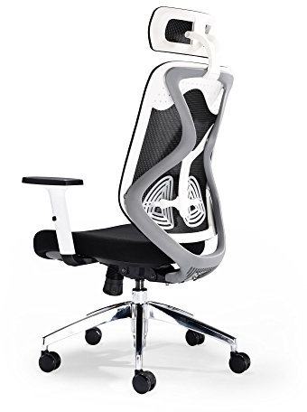 office hippo Ergonomischer Bürostuhl, Schreibtischstuhl mit Rückensupport und Kopfstütze, Verstellbarer Drehstuhl mit Spannungskontrolle, zur täglichen Verwendung für Menschen mit bis zu 115 kg