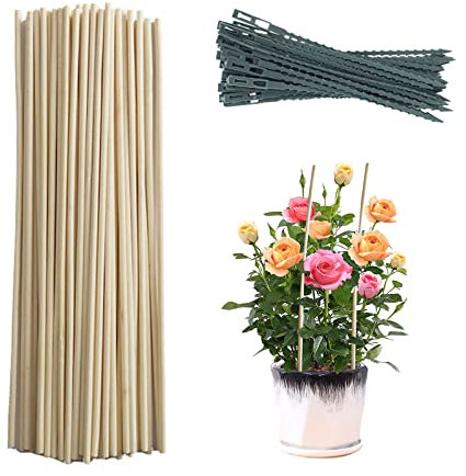 WIVAYE 100 Stück Bambus-Pflanzspieße, 20,1 cm, Holz-Pflanzstäbe mit 100 Stück Kabelbindern, Blumen-Picks, Holzschilder, zum Versenden von Gartenstäben, für Innen- und Außenbereich,Topfpflanzen