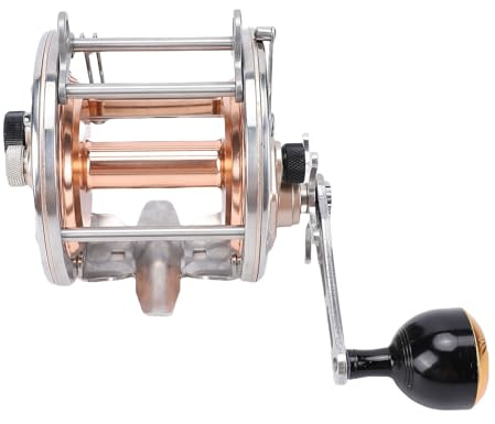 Bewinner Herkömmliche Angelrolle für Salzwasser – Rechtshänder, Gold, Edelstahl und Aluminiumlegierung, Sanfte Bremse, Big-Game-Angelrolle mit 8 Zubehörteilen