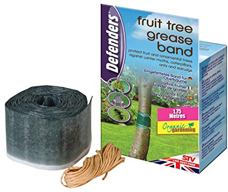 3 X Fruit Tree Grease Band (Poison-Free Insect Protection, Suitable for Organic Gardening, Effective for Up to 2 Months)