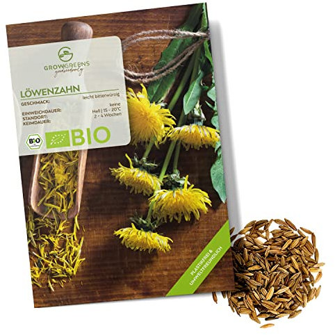 BIO Löwenzahn Samen - Küchenkräuter Saatgut aus biologischem Anbau ideal für den heimischen Kräutergarten, Balkon & Garten (400 Korn) Mehrfarbig