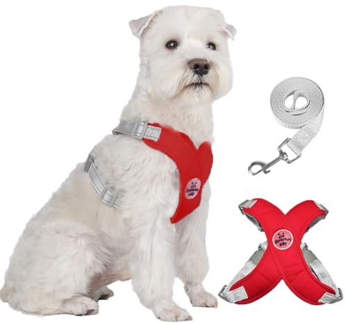 FEimaX Hundegeschirr für Kleine Mittlere Hunde Anti Zug Reflektierend Weich Brustgeschirr mit Hundeleine No Pull Hunde Geschirr Verstellbare Atmungsaktiv Welpen Hundegeschirr