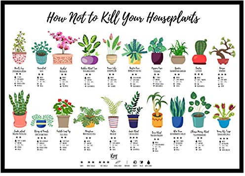 Hewson's Gifts How Not To Kill Your Houseplants Poster - Print for Home Gift For Nature Plant Lover Wildlife Poster (A3 Unframed)