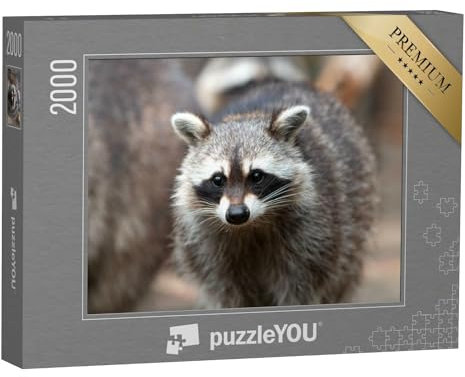 puzzleYOU: Puzzle 2000 Teile „Nordamerikanischer Waschbär“ – aus der Puzzle-Kollektion Waschbären, Tiere in Wald & Gebirge, Exotische Tiere & Trend-Tiere
