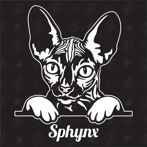 speedwerk-motorwear Sphynx Sticker, Aufkleber, Katzenaufkleber, Cat, Autoaufkleber, Kitten, Kater, Kätzchen, Auto, Tiere, Haustier (AUCH MIT Wunschname MÖGLICH)
