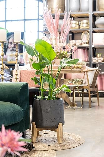 Finestgreen Patt Feet Low | Handgefertigtes Pflanzgefäß auf Holzfüßen (XL Ø:28 H:29 cm, Schwarz) | Pottery Pots