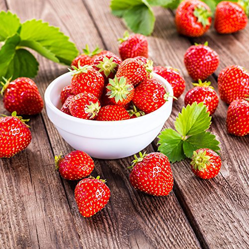 20 Servietten Schüssel voller Erdbeeren | Essen | Früchte | Sommer | Tischdeko 33x33cm