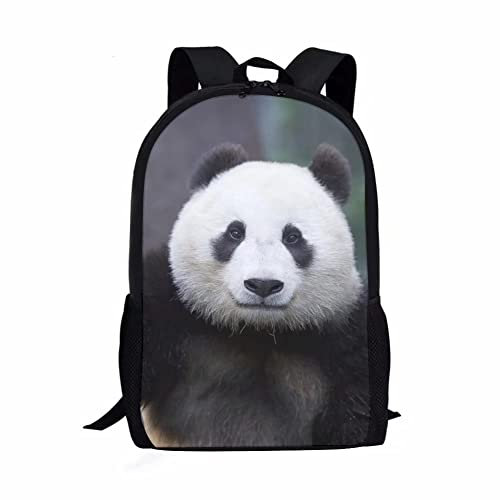 FJAUOQ Kinderrucksack mit Panda-Aufdruck,niedlich,leicht,Grundschul-Büchertaschen für Kleinkinder,Jungen und Mädchen