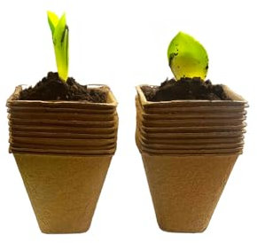 Dare Win Store - Lote de 20 macetas de siembra