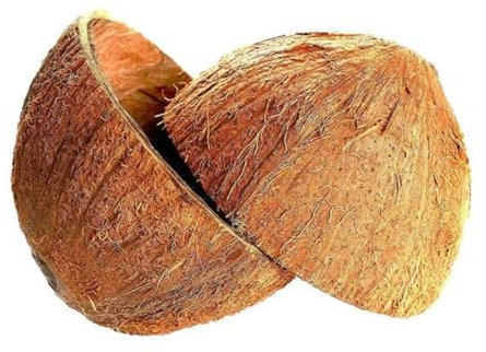 Sri Care® Bol en noix de coco naturelle avec moitiés de coquille de noix de coco pour artisanat ou animal de compagnie, bougie et décorations de Noël et d'Halloween (2 avec fibre)