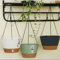 3 Pack Hanging Planters Set,8 Inch Indoor Outdoor Hanging Plant Pot Basket,Plant Flower Pot with Visible Water Level Tray Drainage Hole, Self Watering Planters Come with 3 Hooks for Garden Home