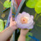 5 pcs lotus samen winterhart, seerosen pflanzen, pflanzen aquarium echt, hochbeete für garten seerosen für teich - Nymphaea - biosaatgut, pflanzen winterhart deko aquarium, echte pflanzen