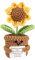 YREYBN Positive Sunflower Crochet,15cm Emotional Support Plant with Encourage Card Sunflower Plant Pot Decoration Gift for Cheer Up Gifts Emotional Support Crochet Sunflower Doll Home Decoration