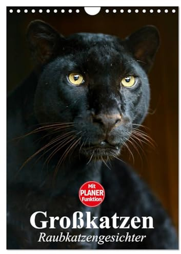 Großkatzen. Raubkatzengesichter (Wandkalender 2026 DIN A4 hoch), CALVENDO Monatskalender: Die unbeschreiblich schönen Gesichter von Großkatzen sind immer wieder ein Freude. (CALVENDO Tiere)