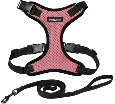 Voyager Step-in Lock Katzengeschirr und reflektierende Katzenleine mit Neoprengriff by Best Pet Supplies - Unterstützt kleine, mittelgroße und große Katzenrassen, Rosa / Schwarzer Rand, size S - 1,5 m