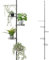 bremermann Étagère à Fleurs télescopique avec 4 étagères - Escalier de Fleurs - Hauteur réglable (Gris)