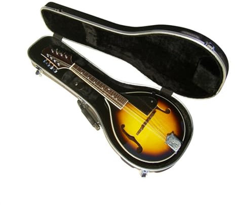 Mandolinas Instrumentos musicales Mandolina De Ocho Cuerdas Hecha A Mano De Madera Maciza Con Estuche De ABS