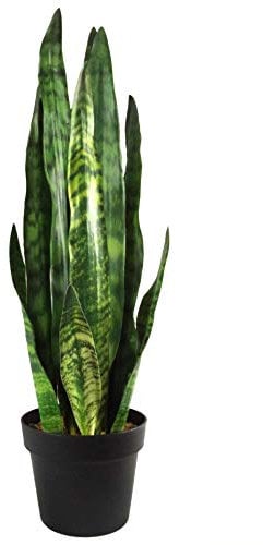 Leaf Kunstpflanze, Blätter, 70 cm, Kunststoff, Zeylanica Sansevieria