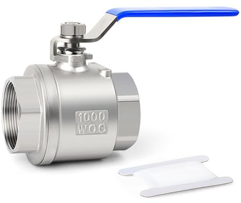 TAISHER 1 PCS Valvola a sfera a passaggio totale per impieghi gravosi da 1 pollice FBSP in acciaio inox 304 con maniglie blu