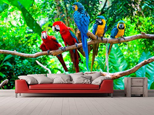 Fotomural Vinilo para Pared Loros Selva | Fotomural para Paredes | Mural | Vinilo Decorativo | Varias Medidas 350 x 250 cm | Decoración comedores, Salones, Habitaciones...