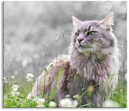 Katze in der Wildnis Herdabdeckplatte & Spritzschutz aus Echtglas | Für Herd-Kochfelder | 60x52 cm
