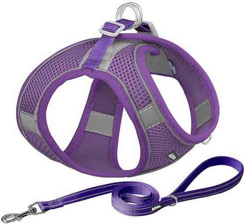 AIITLE No Pull Hundegeschirr, Step in einstellbares Hundegeschirr mit gepolsterter Weste, Hundeleine mit weichem gepolstertem Griff, leicht anzulegen für kleine und mittlere Hunde Reines Lila S