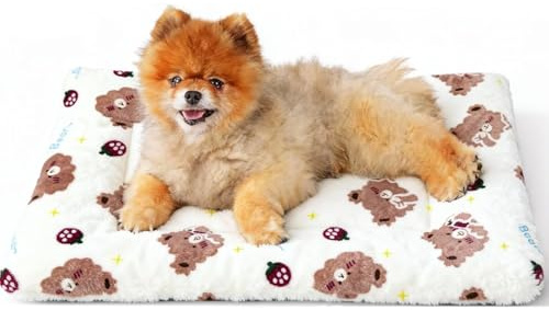 Saituo Home Flauschig Hundedecke, Hunde Decke Waschbar Fleece, Weiche Warme Katzendecke, 60 X 40CM, Hundedecke Sofaschutz aus Fleece für Kleine Hunde Welpen Katzen (Bärenmodell)