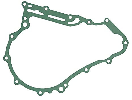 Dichtung Lichtmaschinen Stator für Yamaha YFM Raptor 700 (2006-2010)