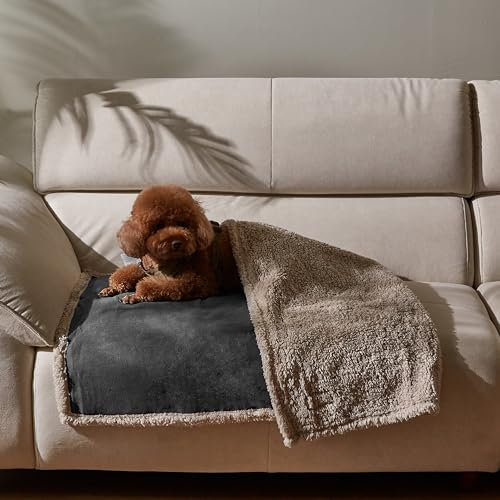 Pawsee Wasserdicht Hundedecke Katzendecken Waschbar, wasserdichte Decke für Unterwegs Hundesofa Schutzdecke Sofa Überwurf, Flauschig Hundedecke für Kleine Mittelgroße Hunde, Katzen, S 125 x 75cm