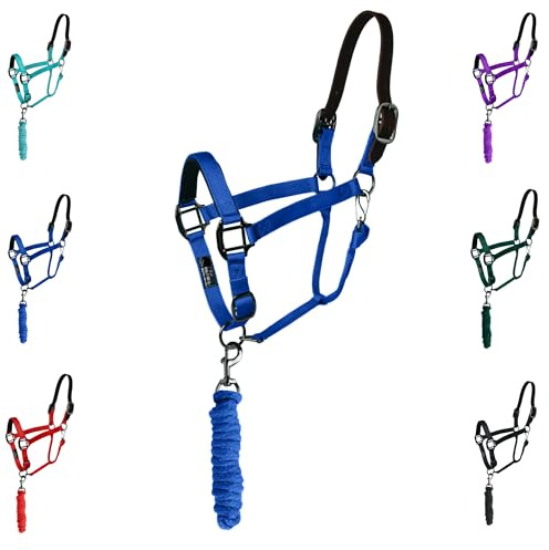 Majestic Ally Leather HeadCollar Halter with Matching Lead Rope for Horses – Leather Breakaway Crown