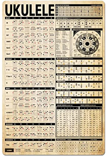 FJQWKLF Lustiges Deko-Retro-Metall-Blechschild – Ukulele-Wissen – Vintage-Farm-Kunstschild für Zuhause, Büro, Zimmer, Kaffee, Bar, Geschäft, Wanddekoration, Metallschild, Geschenk, 20,3 x 30,5 cm