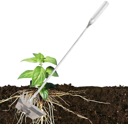 Sionhiuo Outil d'Arrachage de Gazon de Jardin - Robuste à 4 Dents - Extracteur De Mauvaises Herbes en Acier Inoxydable - pour Chardon Chiendent Légumes Pelouse Arrière-Cour Ferme Jardin Jardiniers