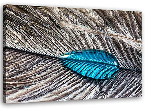 Leinwandbild XXL Natur Wandbild Kunst Wassertropfen Grau 120x80 cm