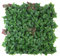 Exelgreen - Mur végétal Artificiel Lierre - 1m x 1m