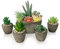 Vasemouh Plantas Artificiales, 5pcs Plantas Artificiales Decorativas, Pequeñas Bonitas Suculentas Artificiales para la Decoración Hogar, Decoracion Escritorio