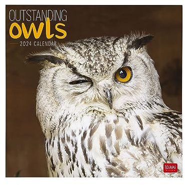 Legami - Wandkalender 2024, 12 Monate und Jahresplaner, Platz für Notizen und Notizen, Wochennummer, 6 Sprachen, Sternzeichen und internationale Feiertage, Einzelzellophanatur, 30 x 29 cm