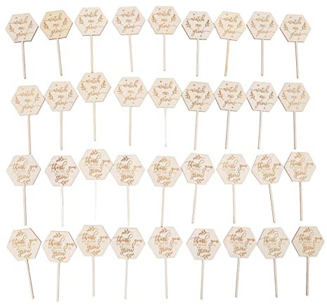 FLEXMAN 36 Stück „Watch Me Grow Sukkulenten“ Anhänger, 10,2 X 5,1 X 0,2 cm Große Sechseckige Holz Pflanzenpfähle, Etiketten Als Geschenk, Wachstumsmarkierung, Pflanzenschild
